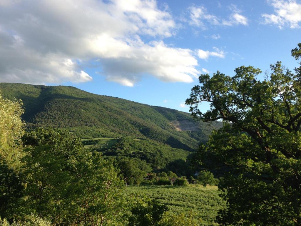 Agriturismo Nizzi Villa Assisi Kültér fotó